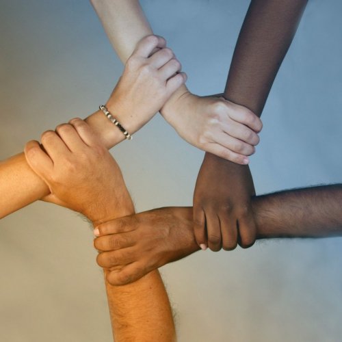 Inclusin y Diversidad (I+D) en las organizaciones: qu aprendemos al ensear?