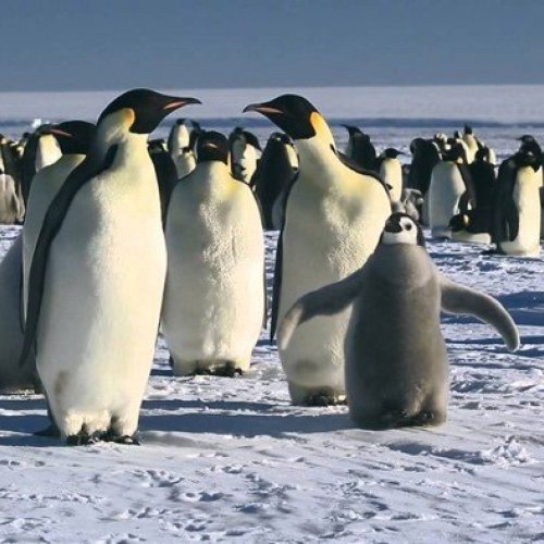 The only constant is change.